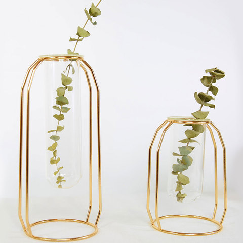 Nordic Creative Vase Home Decor Golden Glass Vase Hydroponic Plant Holder Iron Line Flowers Ornament Home Garden Decoration Hot ► Photo 1/6