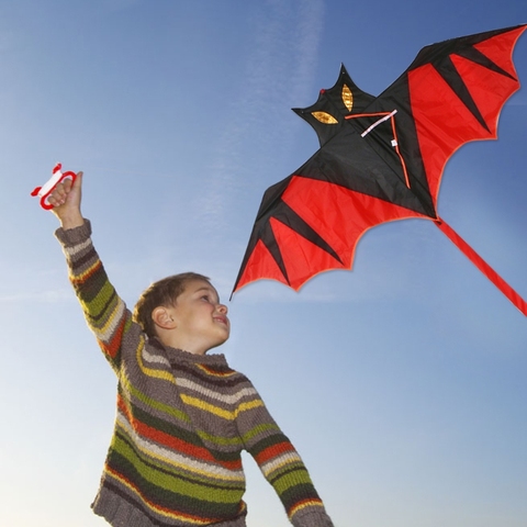 New Cool Bat Kite Outdoor Kites Flying Stunt Kids Kites Toys Kite Flying Long Tail Outdoor Fun Sport  Educational Gifts ► Photo 1/6