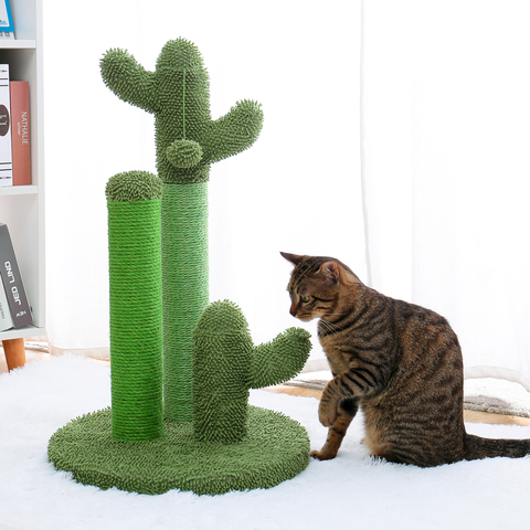 Adequate inventory Cactus Cat Scratching Post with Sisal Rope Cat Scratcher Cactus for Young and Adult Cats climbing frame Toy ► Photo 1/6