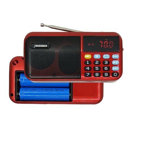 C-803 Portable FM Radio Speaker Mini Handheld Digital USB TF MP3 Player LED Flashlight Support 2 Rechargeable 18650 Battery ► Photo 1/6