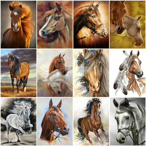 AZQSD DIY Unframe Coloring By Numbers Animal Unique Gift Oil Painting By Numbers Horse Picture For Living Room Home Decoration ► Photo 1/6