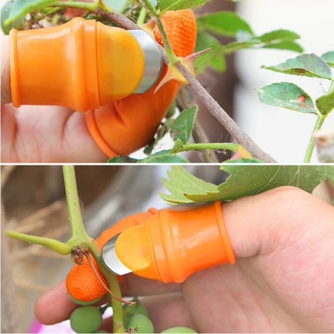 Farm Vegetable Fruit Picker Pickle Pepper Pickle Tip Picker Iron Nail Pick Grape Picker For Garden Tool ► Photo 1/6