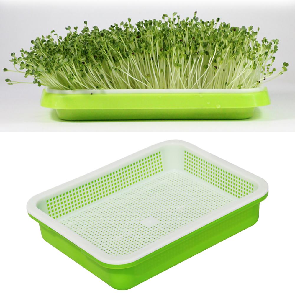 Sprouter Nursery Tray Double-layer Soilless Culture Beans Hydroponic Tray Supply 