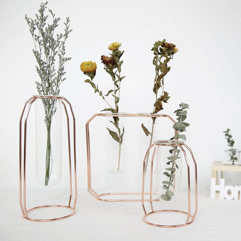 Flower Vase Nordic Golden Glass Vase Iron Hydroponic Plant Holder Tabletop Coffee Shop Office Home Decoration Accessories Modern ► Photo 1/6