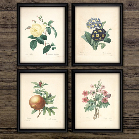 Classic Retro Botanical Canvas Painting Vintage Ancient Botany Flower Fruits Posters Prints Wall Art Picture Room Decor ► Photo 1/6
