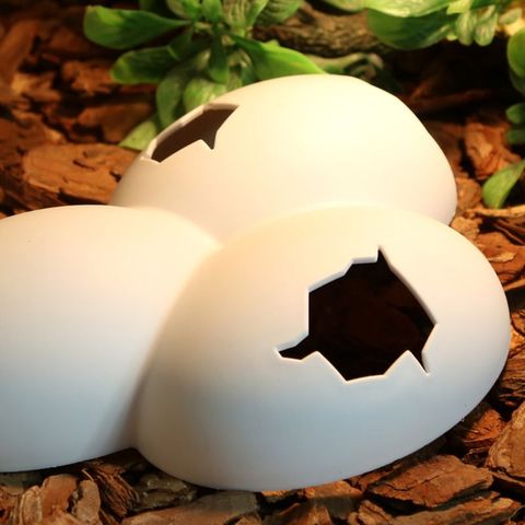 Reptile Hiding Cave Animal Pet Case EggsShell Decoration For Turtle Lizard Snake  ► Photo 1/6