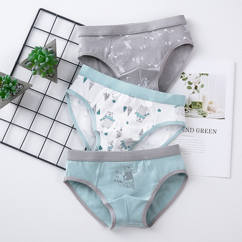 Boys Boxers Back To School Clothes 2022 Cute Briefs for Teenage Kids Thong Underwear Cotton Underpants Children Panties Shorts ► Photo 1/6