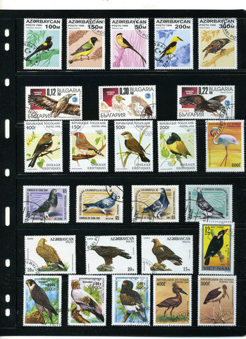 New 50Pcs/Lot Bird Parrot Eagle All Different From Many Countries NO Repeat Unused Postage Stamps for Collecting ► Photo 1/6