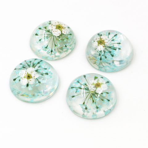 New Fashion 10pcs 20mm Sky Blue Natural Dried White Chrysanthemum Flowers Cabochons Cameo-V3-04 ► Photo 1/2