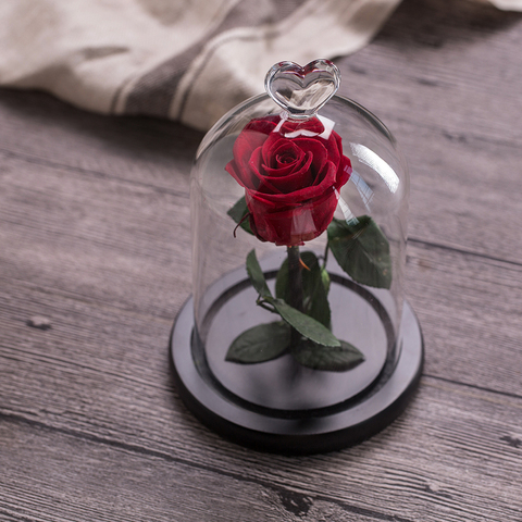 6 Styles Wholesale The Beauty and The Beast Fresh Flowers Red Eternal Roses In A Glass Dome Valentine Christmas Gift Dropshiping ► Photo 1/1
