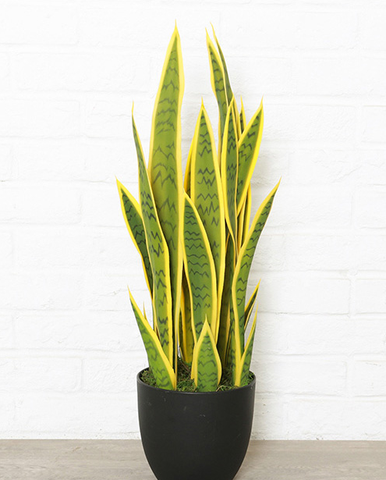 DIY artificial Sansevieria trifasciata big size tropical plant high quality hand feeling green succulents gift home decoration ► Photo 1/4