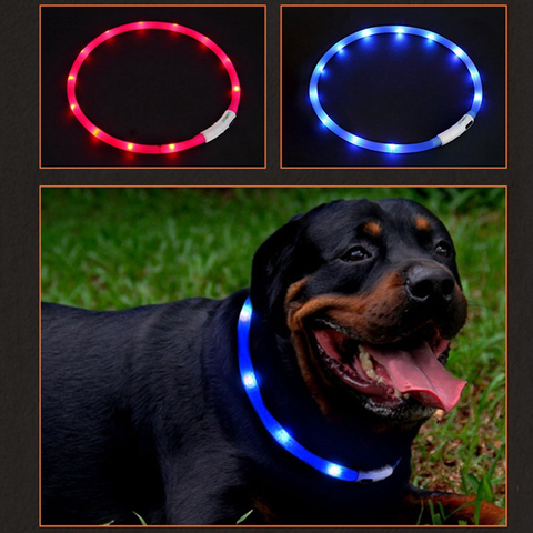 LED Pet Collar USB Rechargeable Night Safety Warning Illuminated Dog Adjustable Silicone Collar Cut to Resize ► Photo 1/6