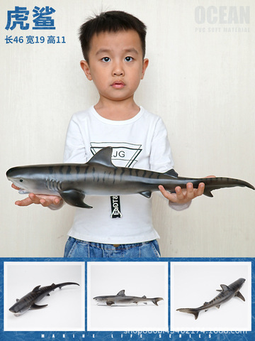 Large size Sea Life Animal Whale shark sperm whale beluga dolphin Model Action Figures Kids Educational toys Gift For Kids ► Photo 1/6