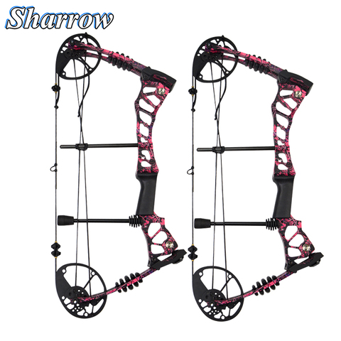 Compound Bow Hunting Pulley Slingshot 40-60lbs Adjustable Carbon Fiber Material 75% Labor Saving Ratio Archery Profession ► Photo 1/6