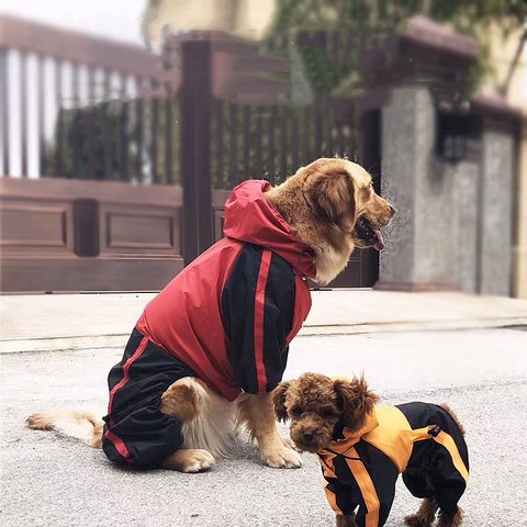 Waterproof Dog Raincoat Jumpsuit For Small Medium Large Dogs Rain Coat Outdoor Pet Clothes Puppy Labrador Husky Pug Jacket SCC02 ► Photo 1/6