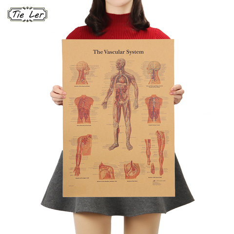TIE LER The Human Vascular System Kraft Paper Poster Vintage Style Wall Sticker Home Bar Cafe Classroom Home Decor Painting ► Photo 1/6