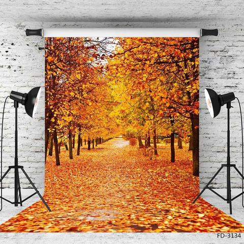 Autumn Path Maple Tree Woods Fallen Leaves Road Scenery Backdrops Baby Newborn Portrait Photography Backgrounds For Photo Studio ► Photo 1/3