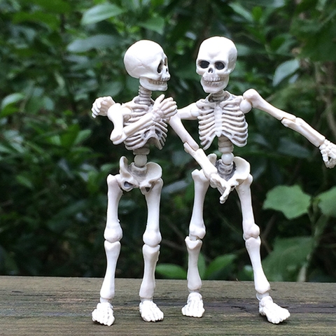 Movable Mr. Bones Skeleton Human Model Skull Full Body Mini Figure Toy Halloween ► Photo 1/6