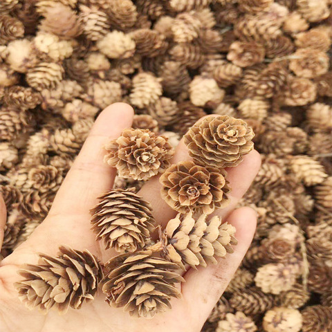 30pcs Natural Pine Cone Dried Flowers Acorn Artificial Flower For Home Christmas Handmade DIY Garland Wreath New Year Decoration ► Photo 1/6