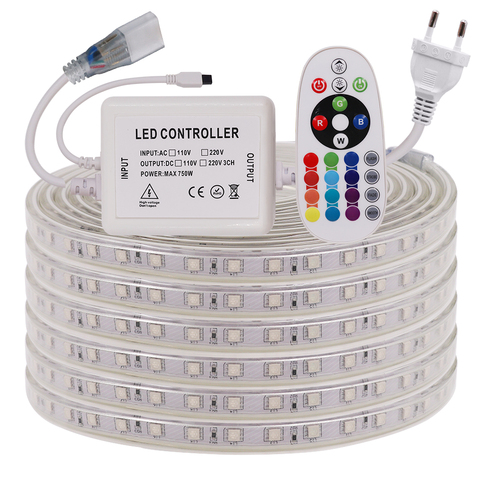 220V 5050 RGB LED Strip High brightness Flexible Led Light Tape Waterproof IP67 Led Stripe Outdoor Home Decor Light with Remote ► Photo 1/6