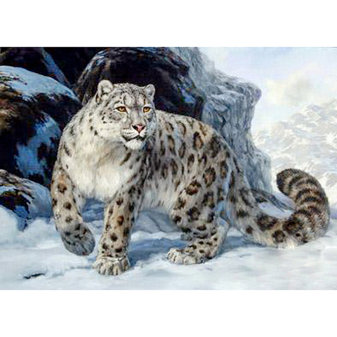 5D DIY Diamond Painting Snow Leopard Full Square/Round Rhinestones Diamond Embroidery Animal Diamond Mosaic Cross Stitch ► Photo 1/6