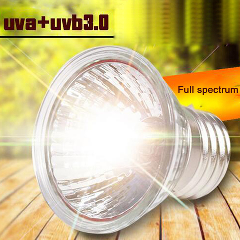 25/50/75W UVA+UVB 3.0 Reptile Lamp Bulb Turtle Basking UV Light Bulbs Heating Lamp Amphibians Lizards Temperature Controller ► Photo 1/5