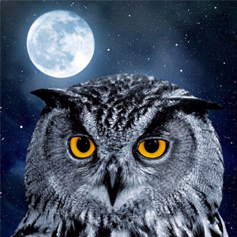 Evershine Diamond Painting Owl Cross Stitch Kit Embroidery Animals Full Square Crystal Mosaic Painting Decoration Home ► Photo 1/6