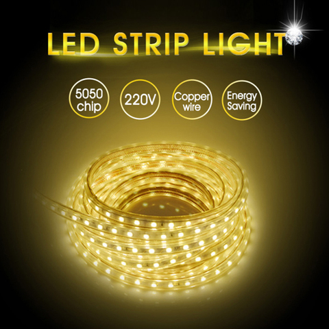 5050 AC220V LED Strip Flexible Light 60leds/m Waterproof Outdoor LED Light Tape With Power Plug 1M/2M/3M/5M/6M/10M/15M/20M ► Photo 1/6