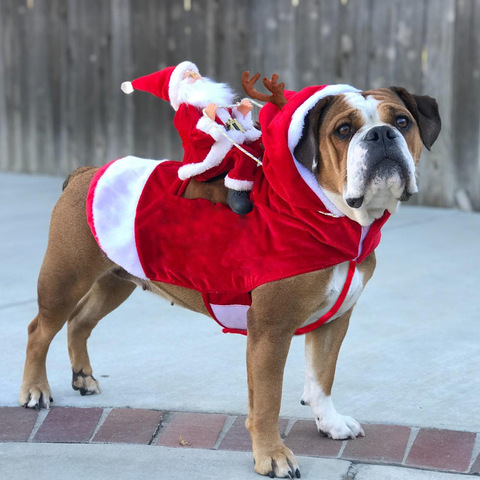 Christmas Pet Dog Dressing Up Clothes Funny Santa Claus Costume For Dogs Winter Warm Dog Coat Chihuahua Pug Yorkshire Clothing ► Photo 1/6