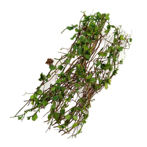 Resin Vine Rattan Model - Scenery Model Miniature Plants for DIY Scenes ► Photo 1/6