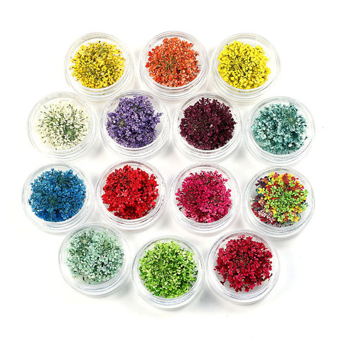 100pcs Pressed Dried Ammi Majus Flower with Box Dry Plants For Epoxy Resin Pendant Necklace Jewelry Making Craft DIY Accessories ► Photo 1/6