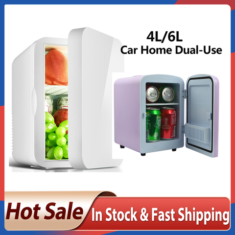 Mini Refrigerator Small 12V Car Refrigerator 220V Single Door Car Home  Dual-Use Thermoelectric Mini Fridge Cooler Warmer - AliExpress