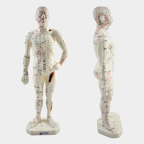 Medical Chinese/English Medicine Meridians Acupuncture Moxibustion Model Acupuncture Point Mannequin Acupuncture Model 26cm ► Photo 1/3