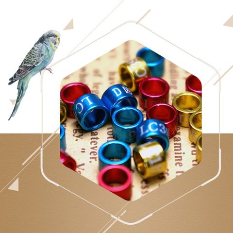 50 Pcs Mix Color  Pigeon Leg Poultry Dove Bird Parrot Clip Rings Band Foot Ring Pigeon Supplies Bird Appliances Lovebirds Sign ► Photo 1/6