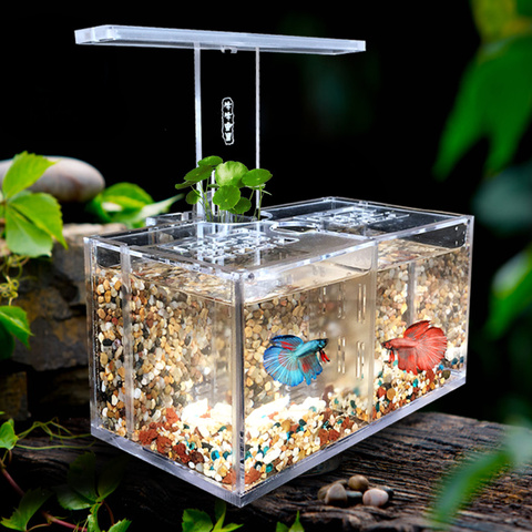 Acrylic Fish Tank Free Water Exchange Isolation Box With LED Desk Lamp Water Pump Filter Aquarium Office Desktop Decoration ► Photo 1/6