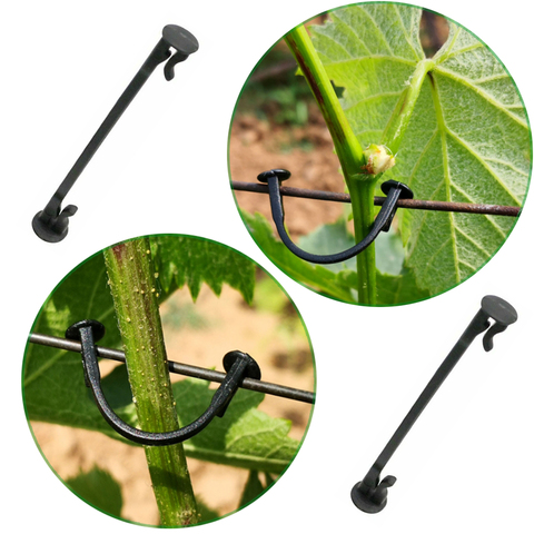 2000Pcs  Vines Fasteners Vegetable Strapping Clips  Garden Plants Buckle Grape Tool Plant Vegetable Grafting Clips Agricultural ► Photo 1/3
