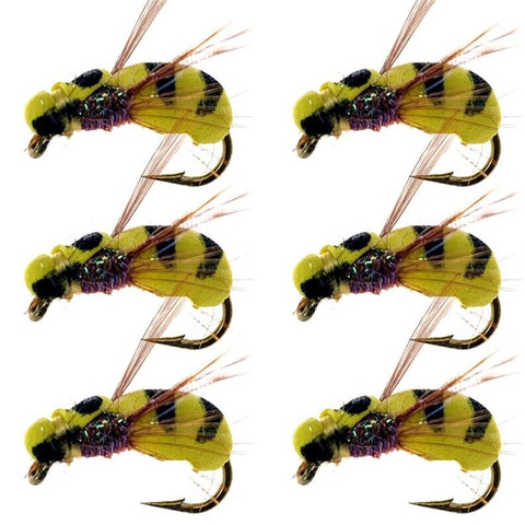 5/10/20Pcs Beetle-Like Foam Boatman Dry Wet Fly Tying Hook Carp Fishing Zip Rig Trout Fishing Fly Lure Bait ► Photo 1/6