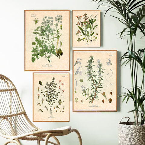 Spices Herbs Print Vintage Botanical Poster Parsley Sage Rosemary Thyme Culinary Wall Art Picture Canvas Painting Kitchen Decor ► Photo 1/6