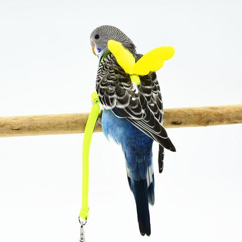 Pet Parrot Bird Harness And Leash Flying Rope Straps Outdoor Training Traction Rope For Budgerigar Cockatiel Small Birds ► Photo 1/6