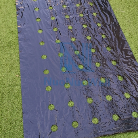 5M~50M 5Holes 95cm Width 0.02mm Black PE Film Garden Vegetable Membrane Agricultural  Seeding Plastic Perforated Plants Mulching ► Photo 1/6