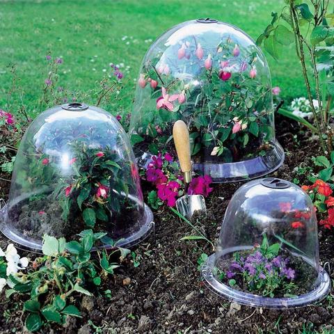 5PCS Greenhouse Garden Plant Bell Cover GrowAway Reusable Plastic Garden Plant Covers Frost Guard Winter Freeze Protection Cover ► Photo 1/6