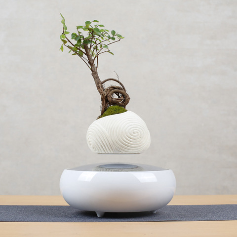 Levitating Air Bonsai Pot Rotation Flower Pot Planters Magnetic Suspension Floating Pot Potted Plant Home Desk Decor ► Photo 1/6
