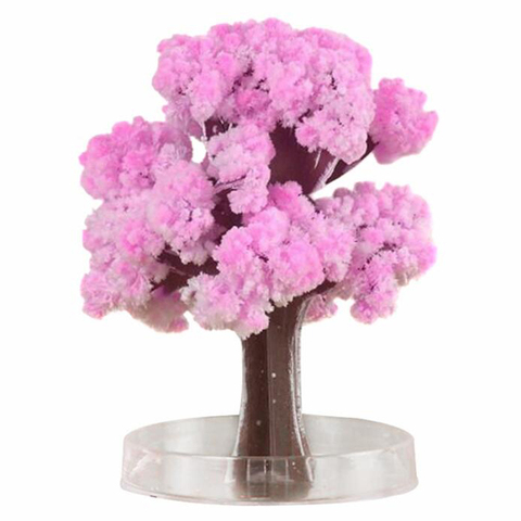 2022 9x8cm Cool!ThumbsUp!Magic Japanese Sakura Tree-Brand New Made in Japan Pink Magic Decorative Toy Growing Paper Trees Toys ► Photo 1/6