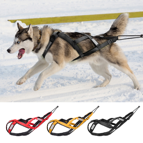 Waterproof Dog Sled Pulling Harness Pet Mushing Harness for Large Dogs Husky Pet Exercise Bikejoring Sledding Skijoring Harness ► Photo 1/6