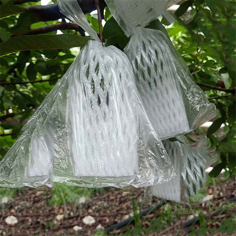 100Pcs Guava Protection Cover Grow Bag Anti-Bird Insect Net Bag Vegetable Fruit Protect Breeding Bag Prevent Fruit Tree ► Photo 1/5