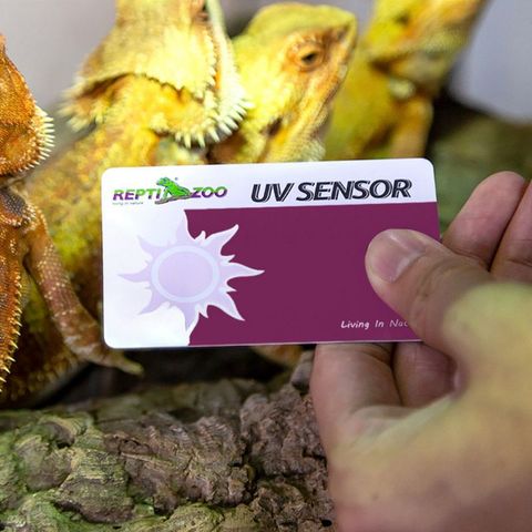 2 Pcs / set Reptile Terrarium UVB Test Card UV Light Lamp Life Tests Paper ► Photo 1/6
