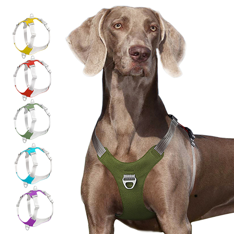 Strong Pet Dog Harness Dog Training Reflective Chest Belt Vest Adjustable Outdoor Protective Harness for Small Medium Big Dogs ► Photo 1/6