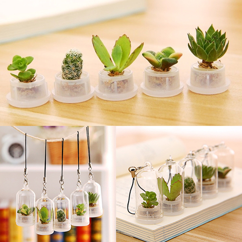 1Pcs succulent Plant Keychains mini bonsai flower pot green plants micro landscape Mobile Phone Pendants bottle DIY Key Chain ► Photo 1/6