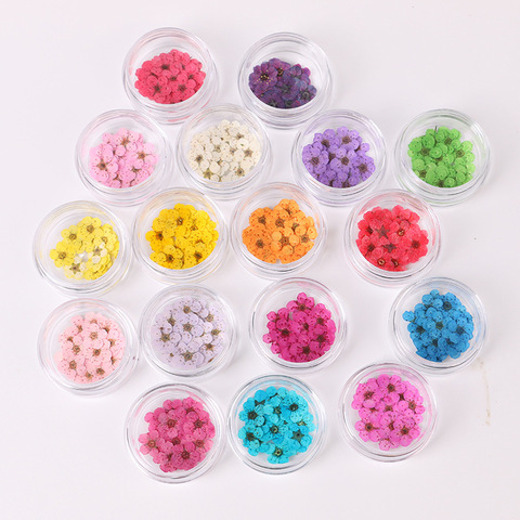 100pcs Pressed Dried Narcissus Plum Blossom Flower With Box For Epoxy Resin Jewelry Making Nail Art Craft DIY Accessories ► Photo 1/5