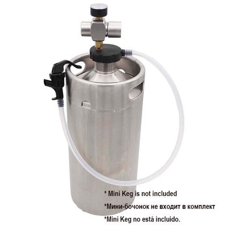 Mini Keg Basic Tap Kit Portable Growler Dispenser Homebrew Beer Kegging Equipment ► Photo 1/5